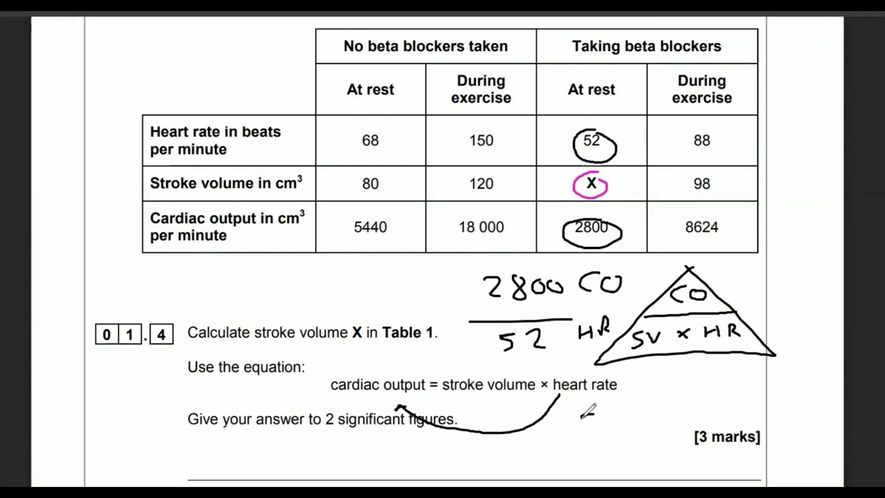 Combined science 2019 paper 1 Biology Higher paper