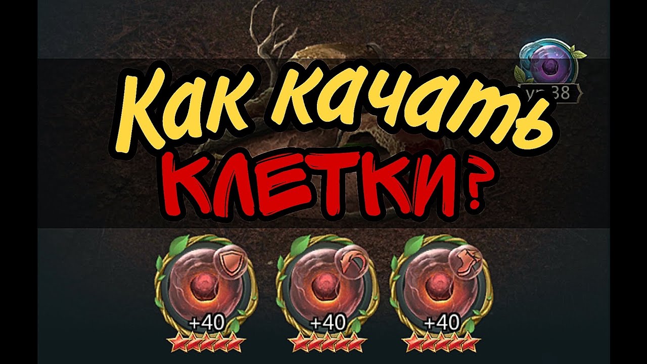 Ant Legion:КАК КАЧАТЬ КЛЕТКИ? ДЛЯ НОВИЧКОВ И НЕ ТОЛЬКО