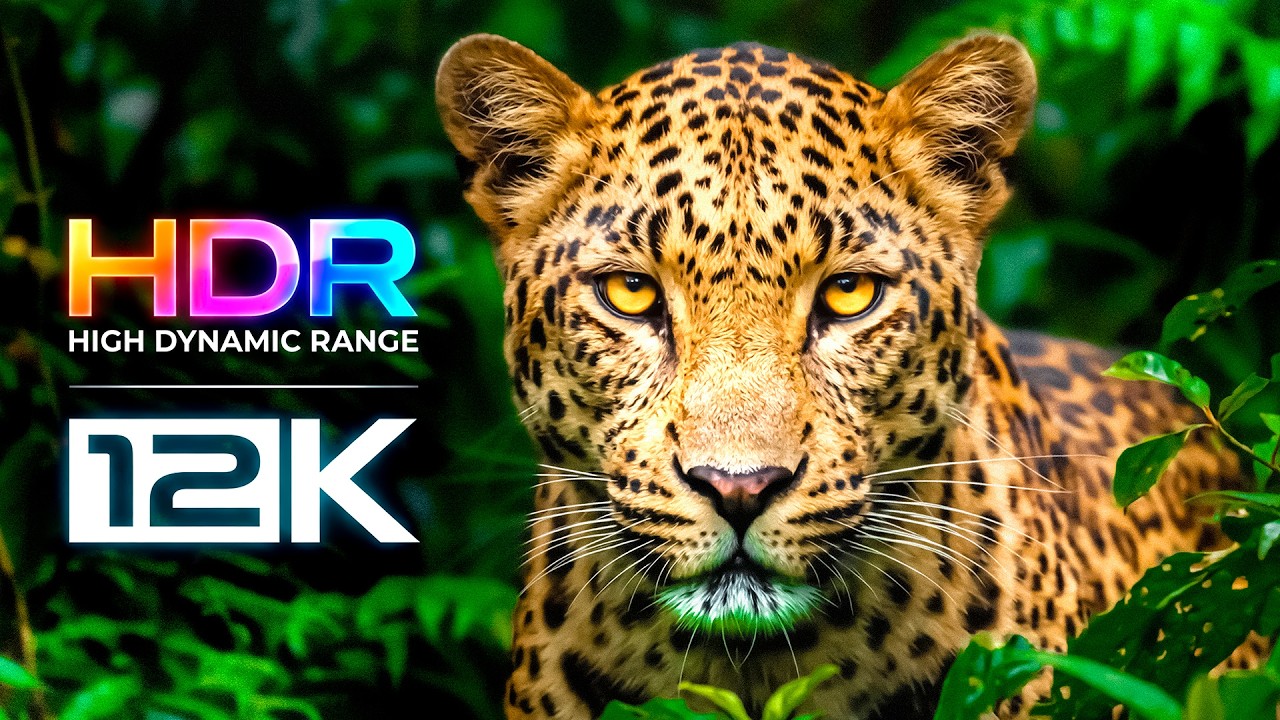 Planet Earth in 12K HDR 60FPS | The Ultimate Visual Experience TV 8K UHD