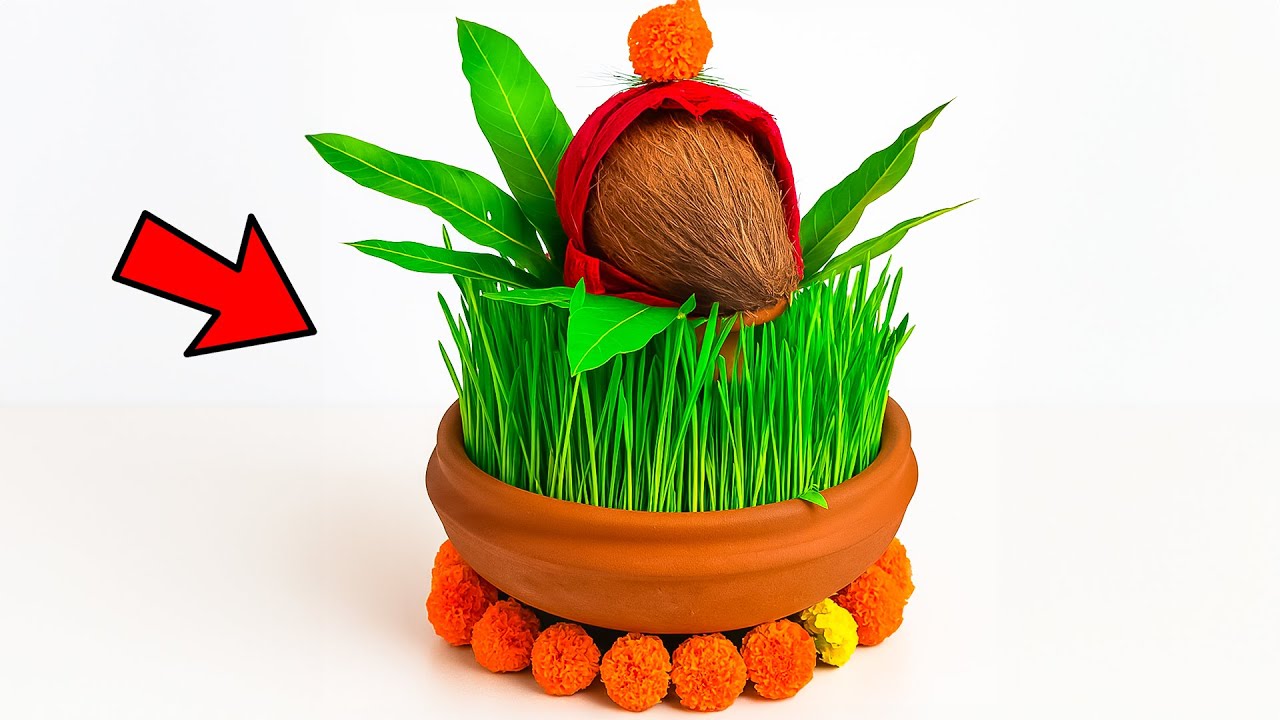 How I Grow Perfect Jawara for Navratri at Home  #navratri @ArtkalaAngan