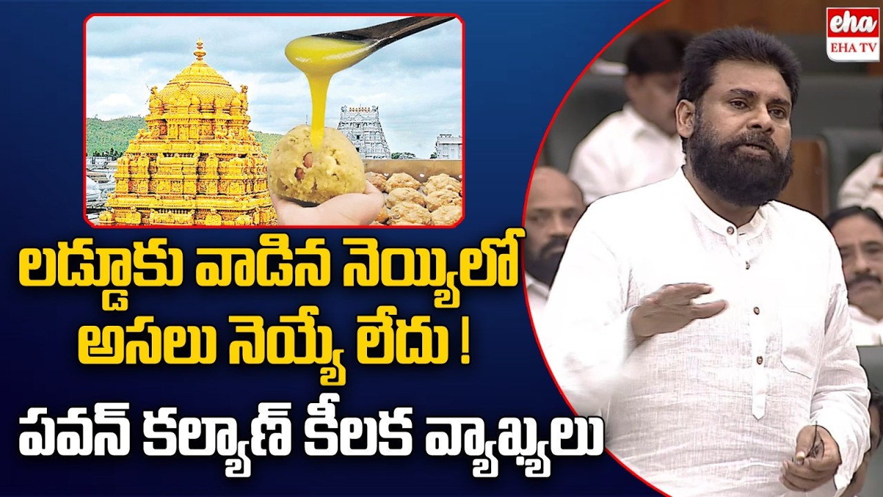 Pawan Kalyan About Tirumala Laddu Ghee Adulteration | YV Subhha Reddy | EHA TV
