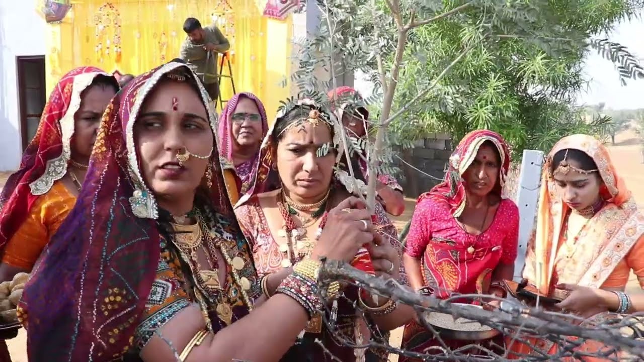 मुगंधणा की रश्म🌿 mungdhano rsam  ||शेखावटी ससंक्रती  विवाह गीत  //rajasthani chalchar rasm  