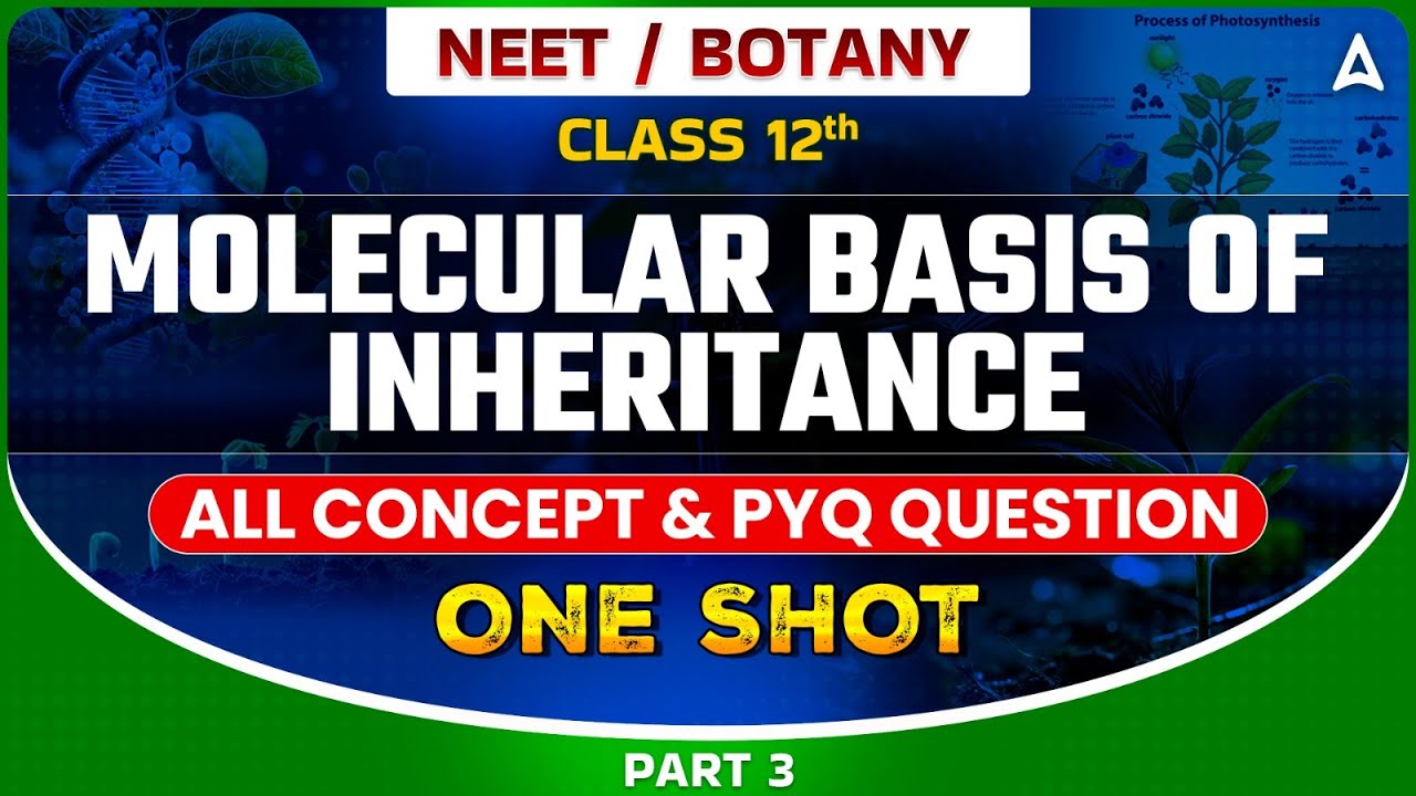 MOLECULAR BASIS OF INHERITANCE CLASS 12 | NEET 2024 | ALL CONCEPT & TRICKS | BOTANY BY SANKALP