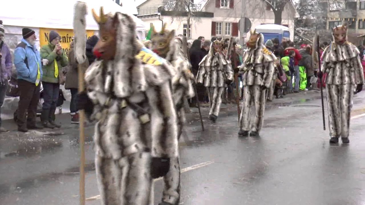 Narrenfreunde Aldingen 2015