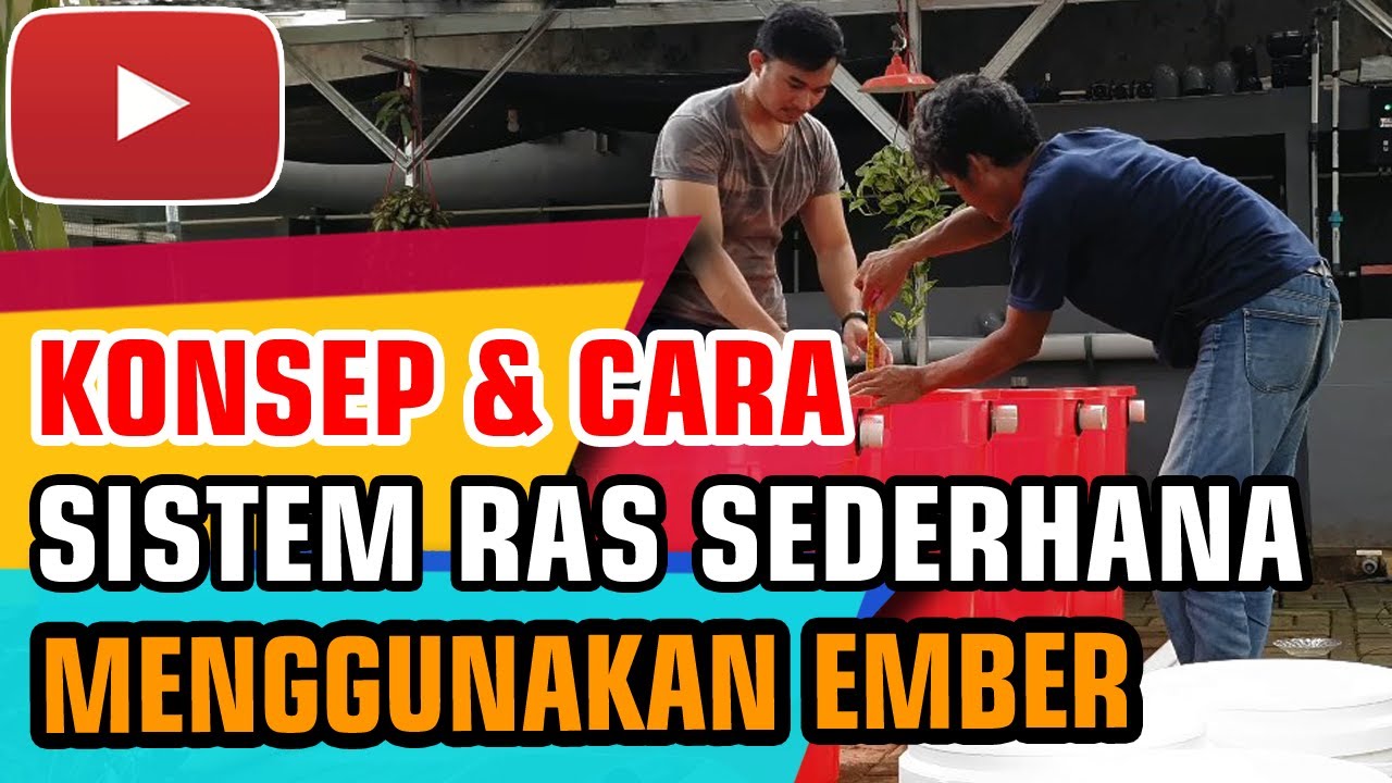 Cara Membuat Sistem RAS BUDIKDAMBER