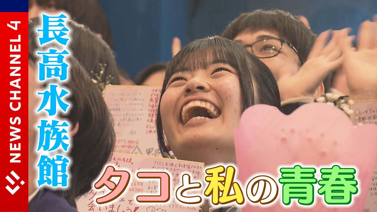 【水族館部】タコを愛する女子高生、卒業の日＜NEWS CH.4＞