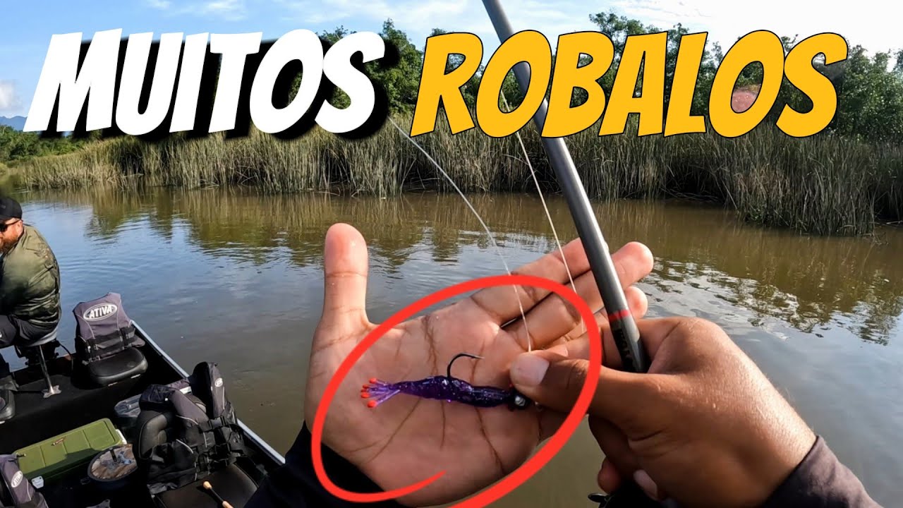 NESSE PONTO DE PESCA SEMPRE SAI ROBALOS BONS !! (Pescaria de JIG Head )🎣🚀