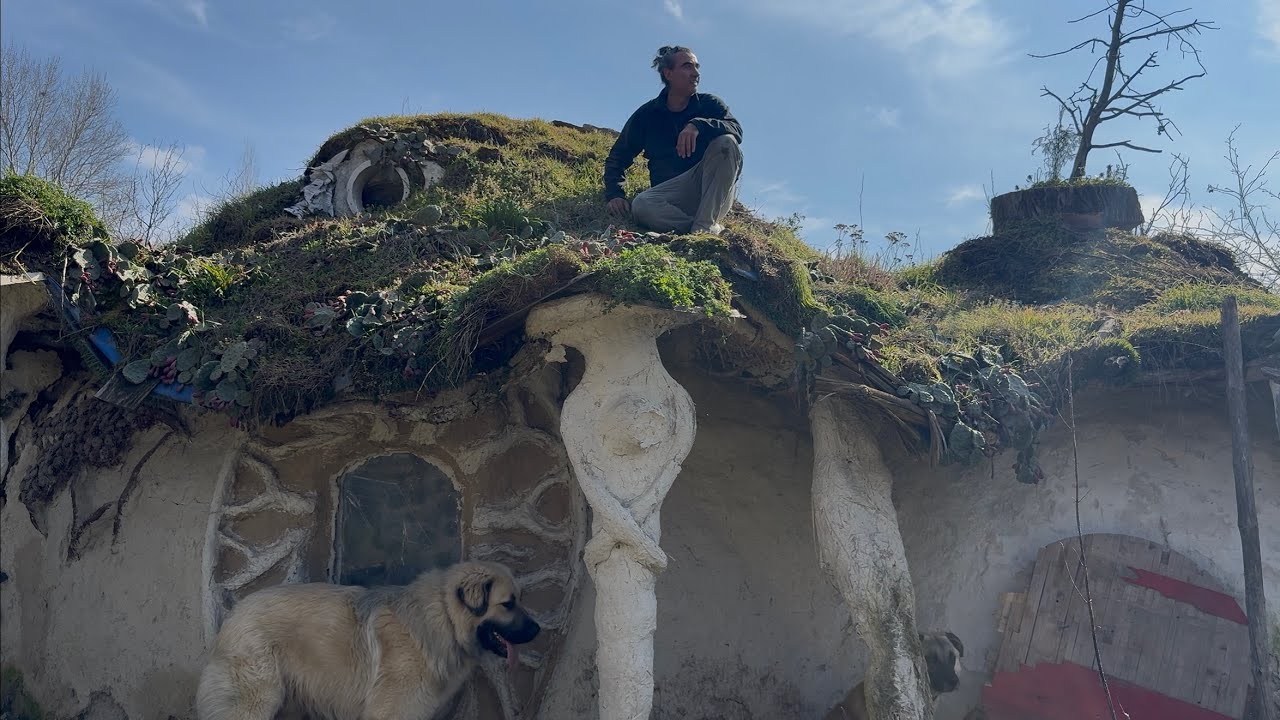 ПОЧНАВ РЕВОЛУЦИЈА СИ НАПРАВИВ ЗЕЛЕН ПОКРИВ ! 