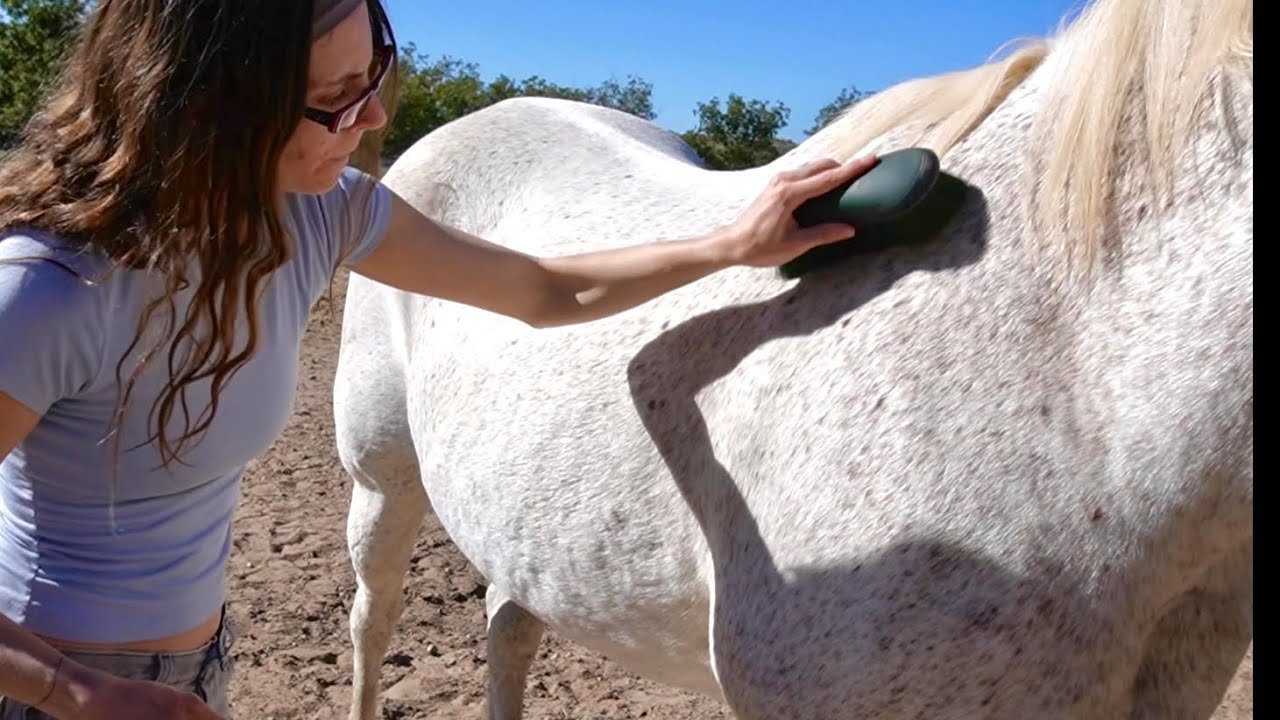 Horse Grooming ASMR (it’s a good one)