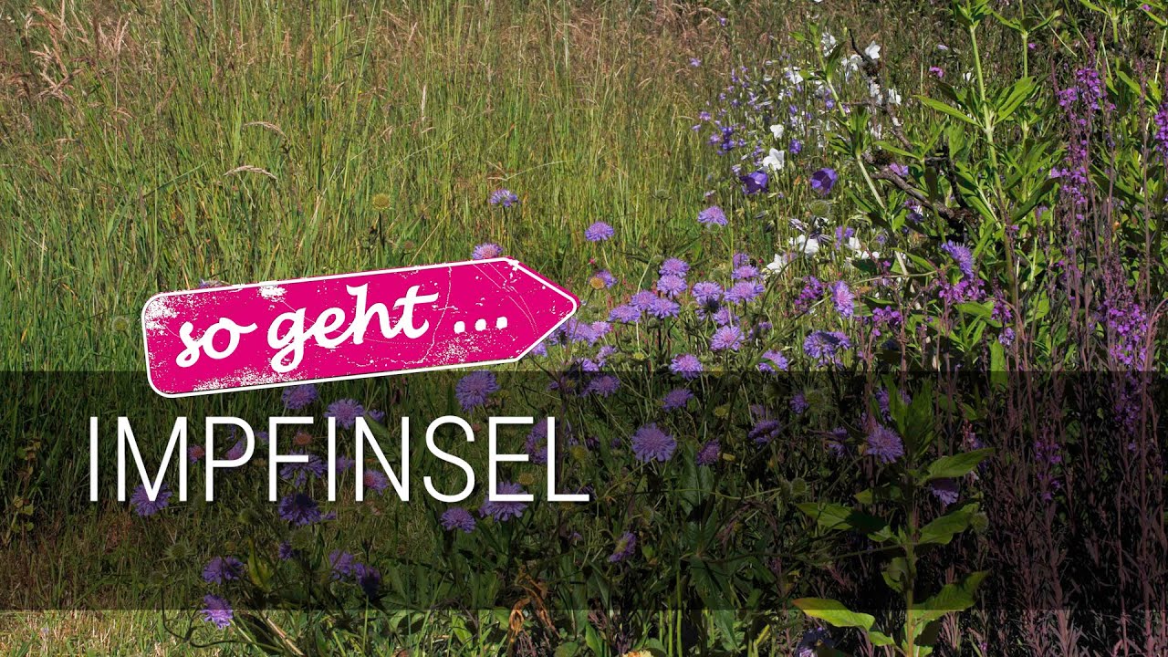 Impfinsel anlegen – Anleitung & kompletter Beitrag auf katja-falkenburger.de