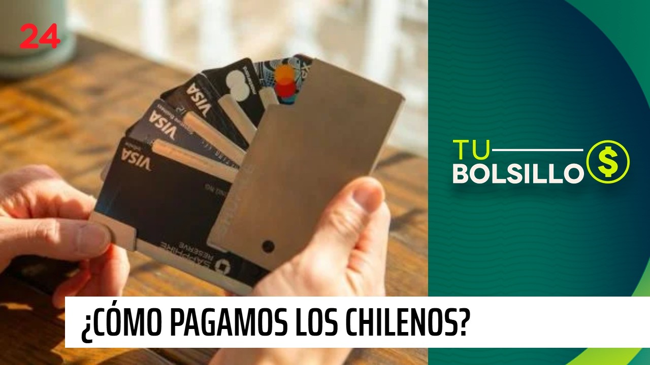 ¿Cómo pagamos los chilenos? | 24 Horas TVN Chile