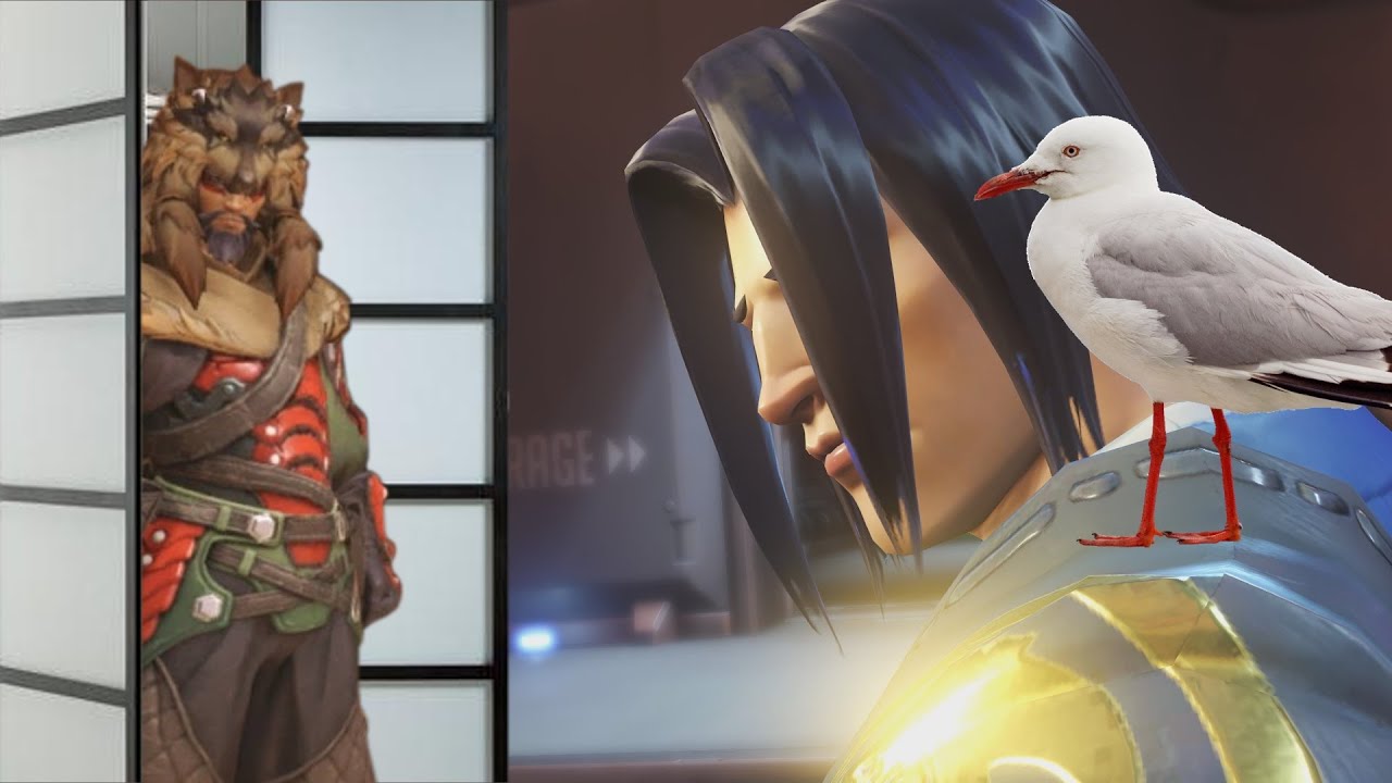 Overwatch - The Closet Furry, with Seagull's Apprentice