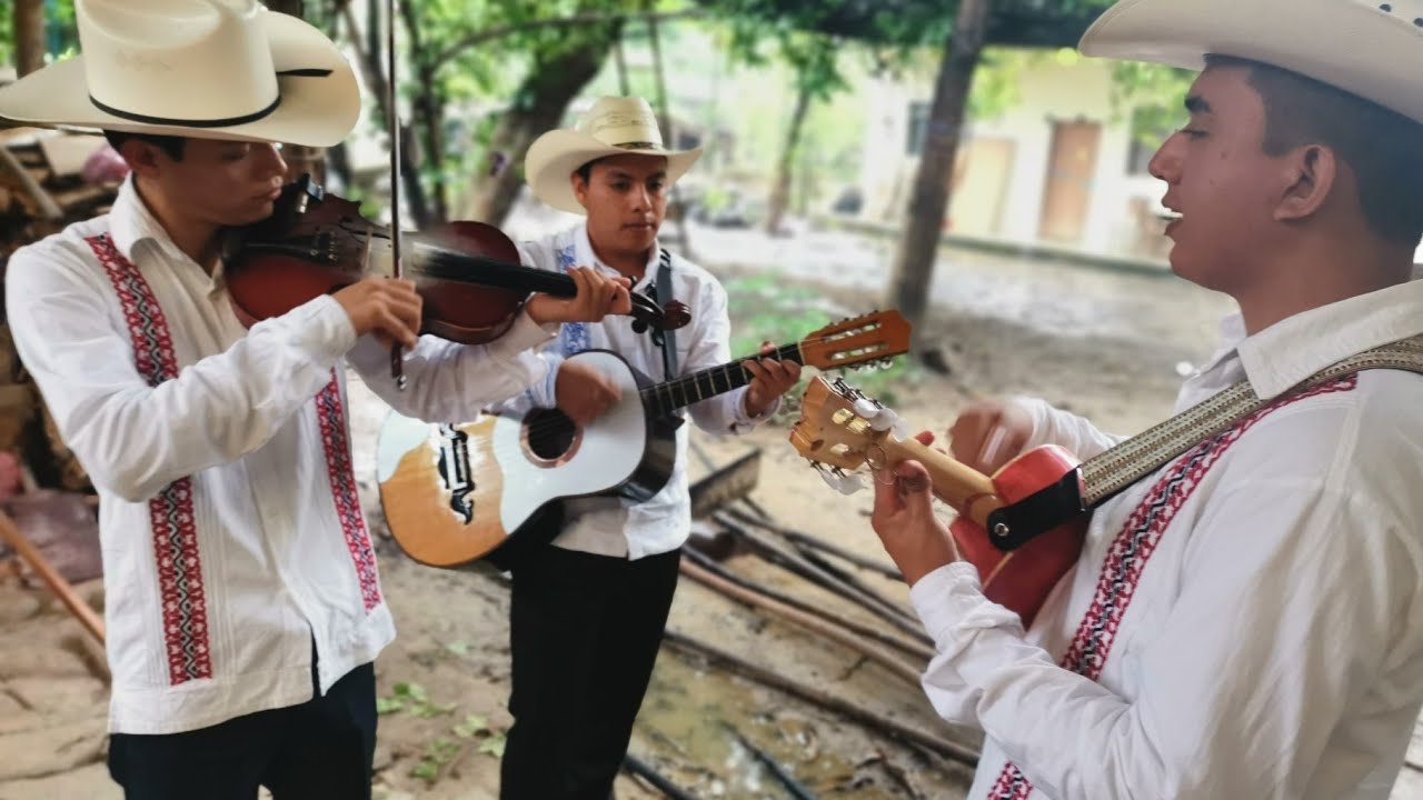 🎻DISFRUTEN El Ausente 