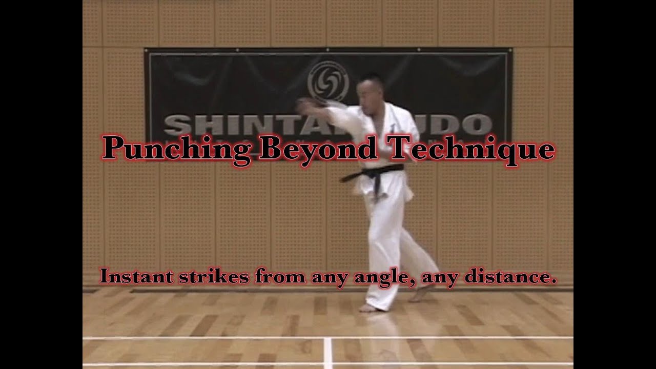 Punching Beyond Technique　Instant strikes from any angle, any distance.