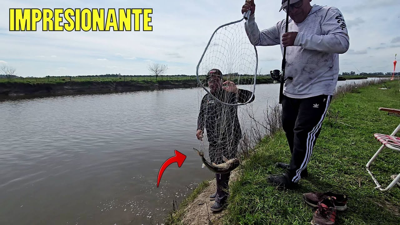 NUNCA PENSAMOS SACAR ESTOS TERRIBLES BAGRES EN ESTE CANAL! DIA DE PECES GRANDES EN SAMBORONBON 🔥🎣