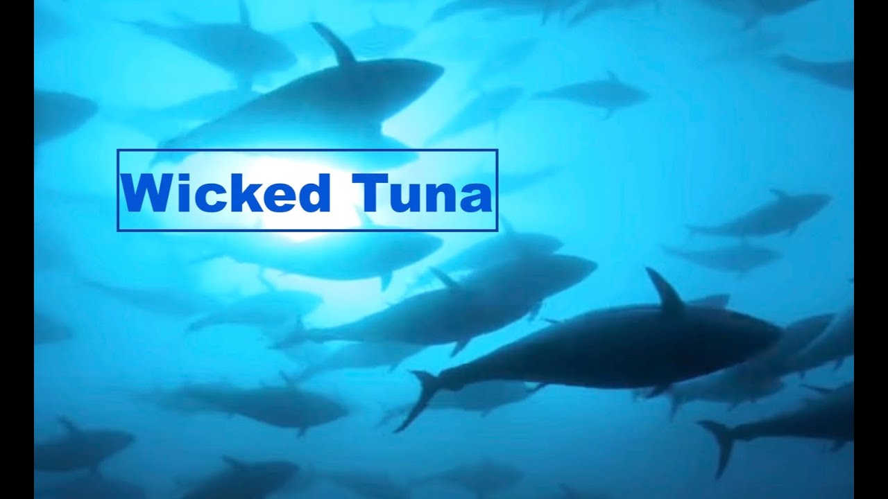 דייגי הטונה הקרב האחרון-Bluefin Tuna Long line-4k Wicked Tuna