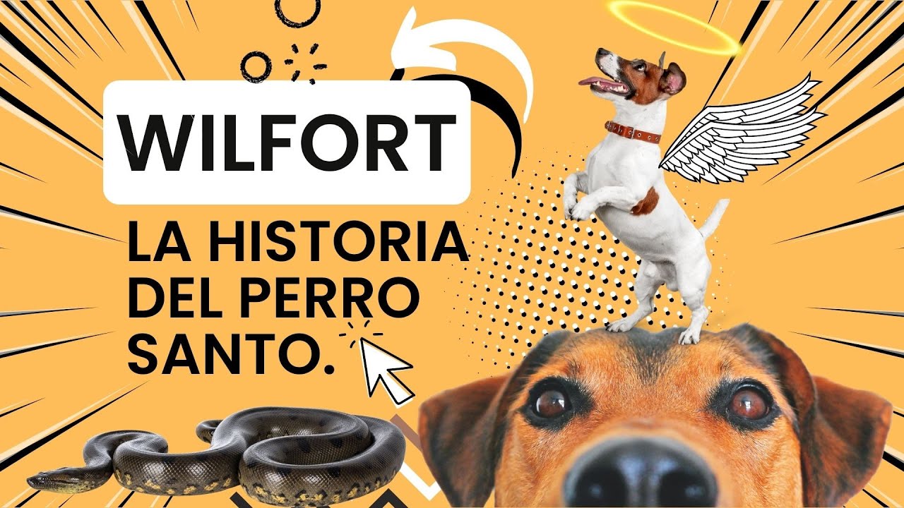 Sabías que hay un perro Santo? Su nombre es Guilfort , ¡ve su historia!
