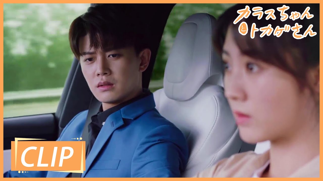 優しいお姉ちゃんが恋敵になって大ショック‼  魂がぬけてるショウネイを気にするボス😟   ~カラスちゃんとトカゲさん~ | WeTV