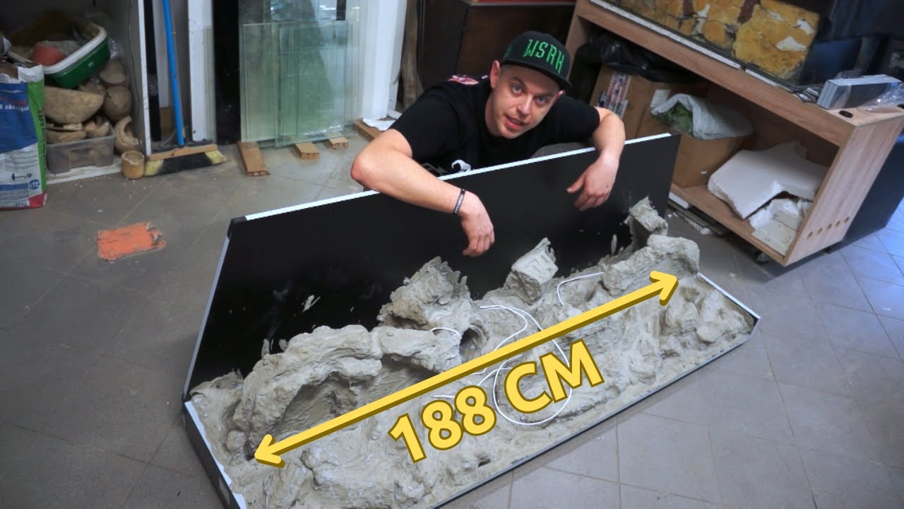 Krok po kroku: Jak stworzyć idealne terrarium dla Twojej agamy brodatej 🏠🦎