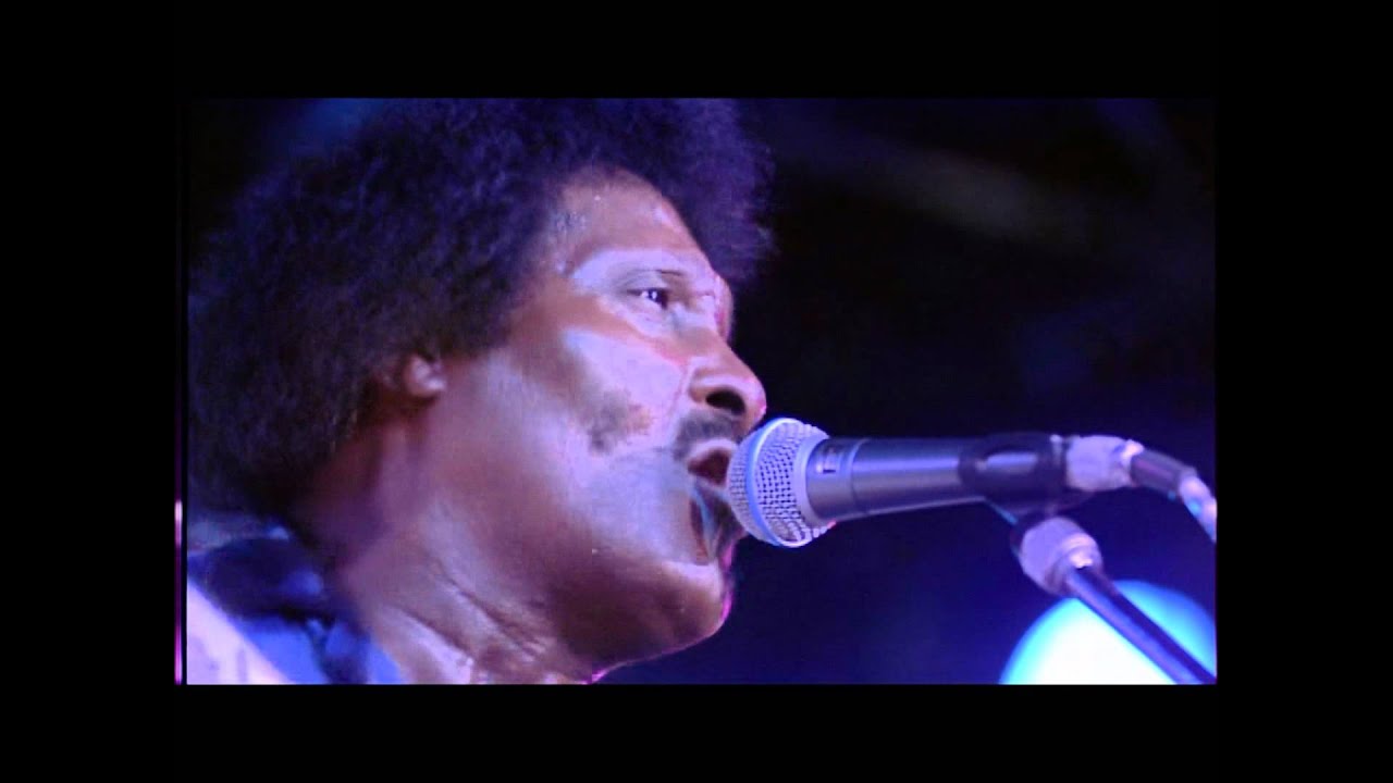 Albert Collins - 02 Honey, Hush! HD