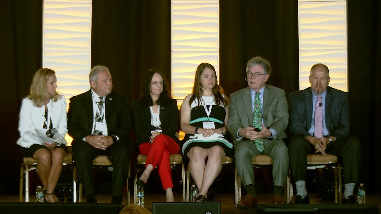 STEM Integration Panel (SLA2019)