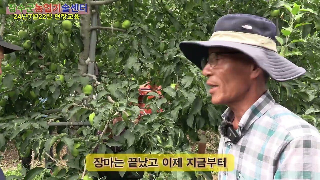 장수군농업기술센터/농업인대학/사과반/유병욱교수님/사과농원 현장교육(7월22일)