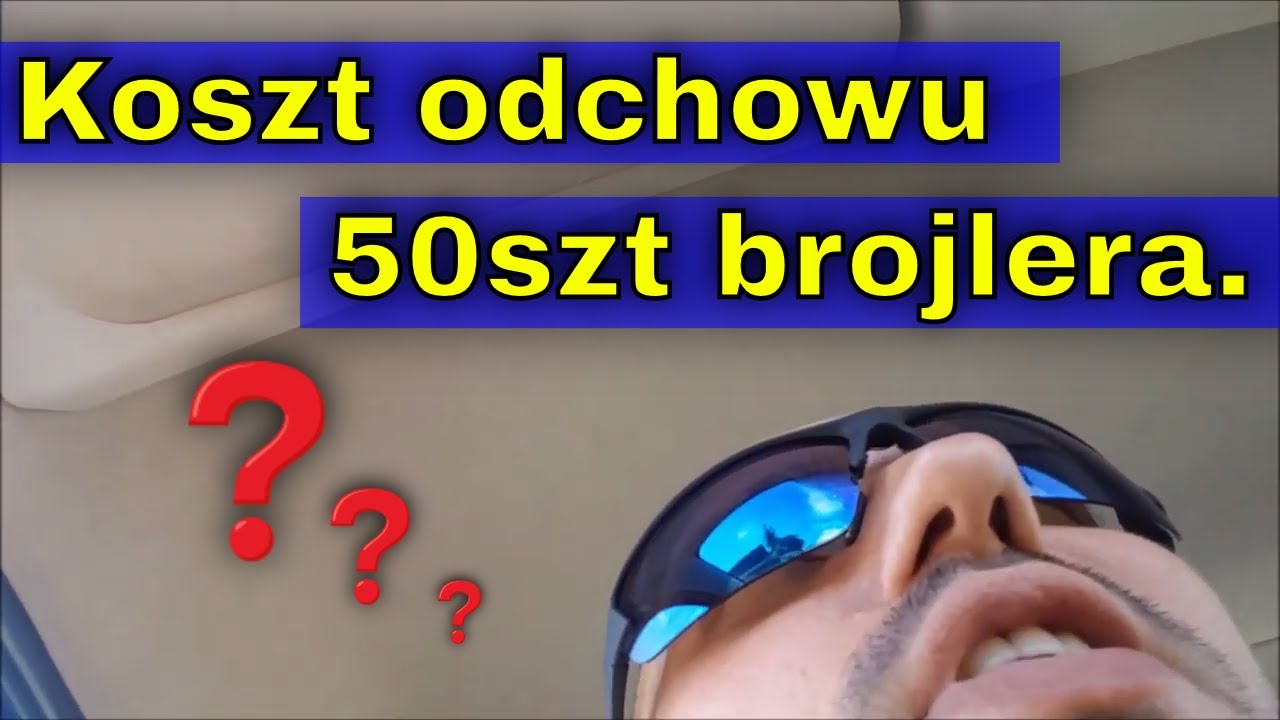 Ile kosztuje odch&oacute;w kurczak&oacute;w? Koszt wyżywienia 50 sztuk brojlera.