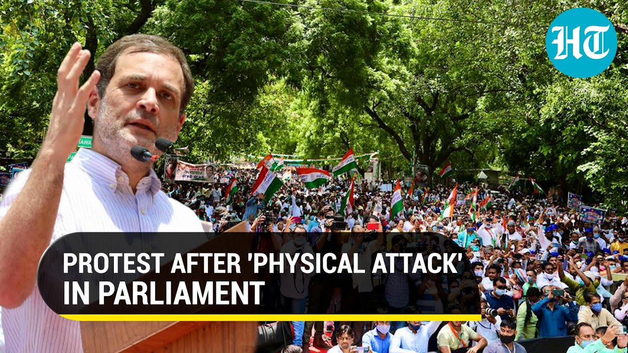 'Do you work for govt?': Rahul Gandhi leads Opposition protest, claims MPs beaten up in Rajya Sabha