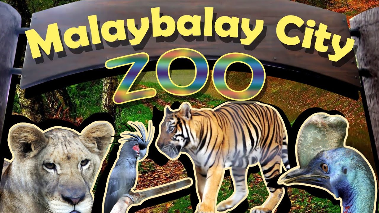 MALAYBALAY CITY ZOO (HD)