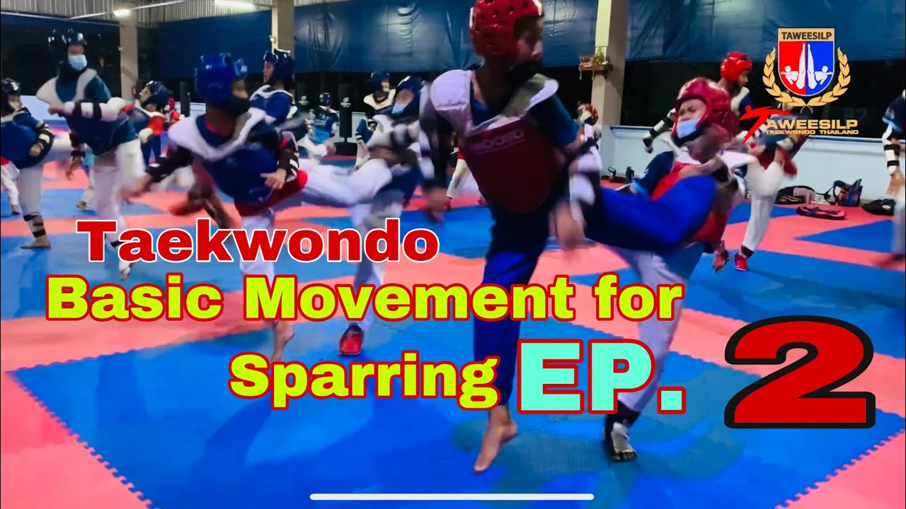 Basic Movement for Sparring EP.2