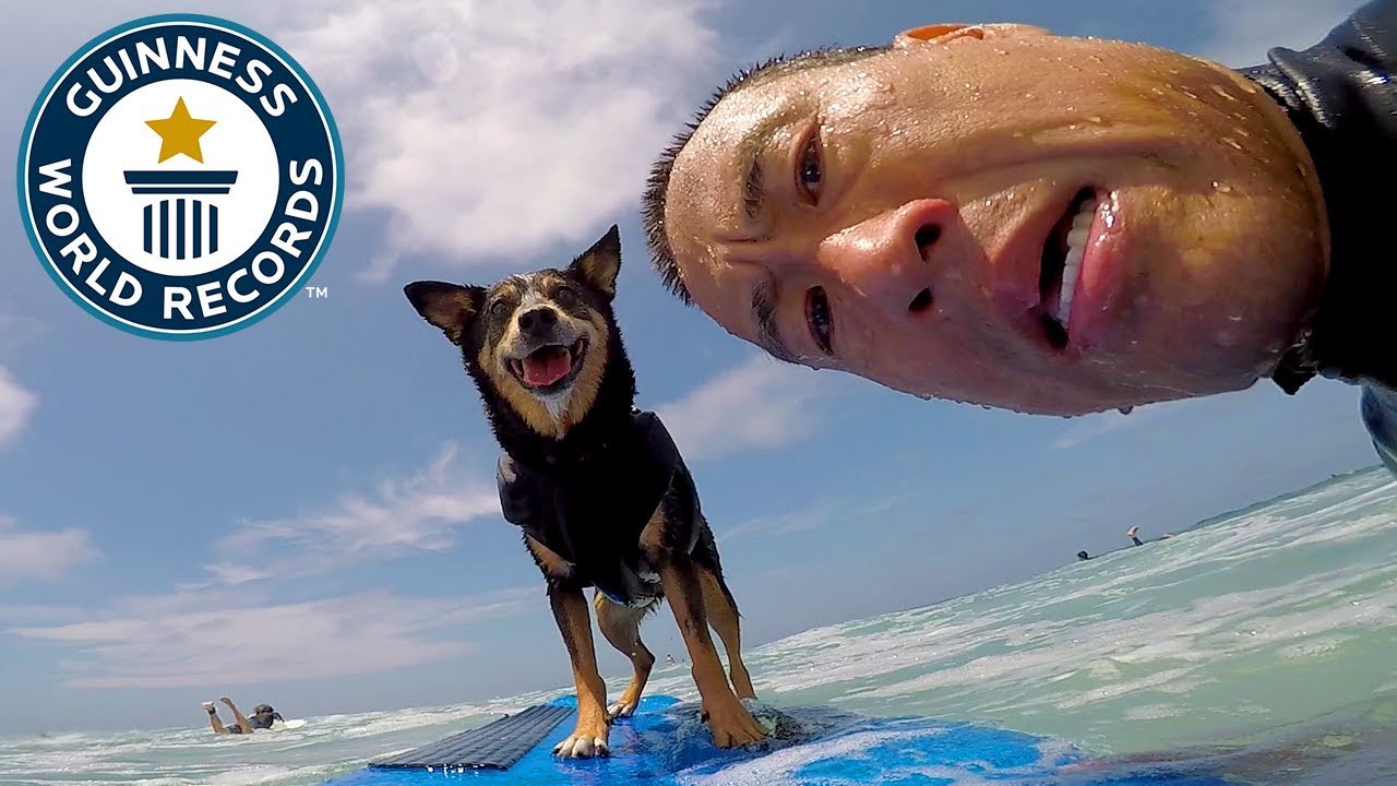 Abbie Girl: Longest wave surfed by a dog - Guinness World Records