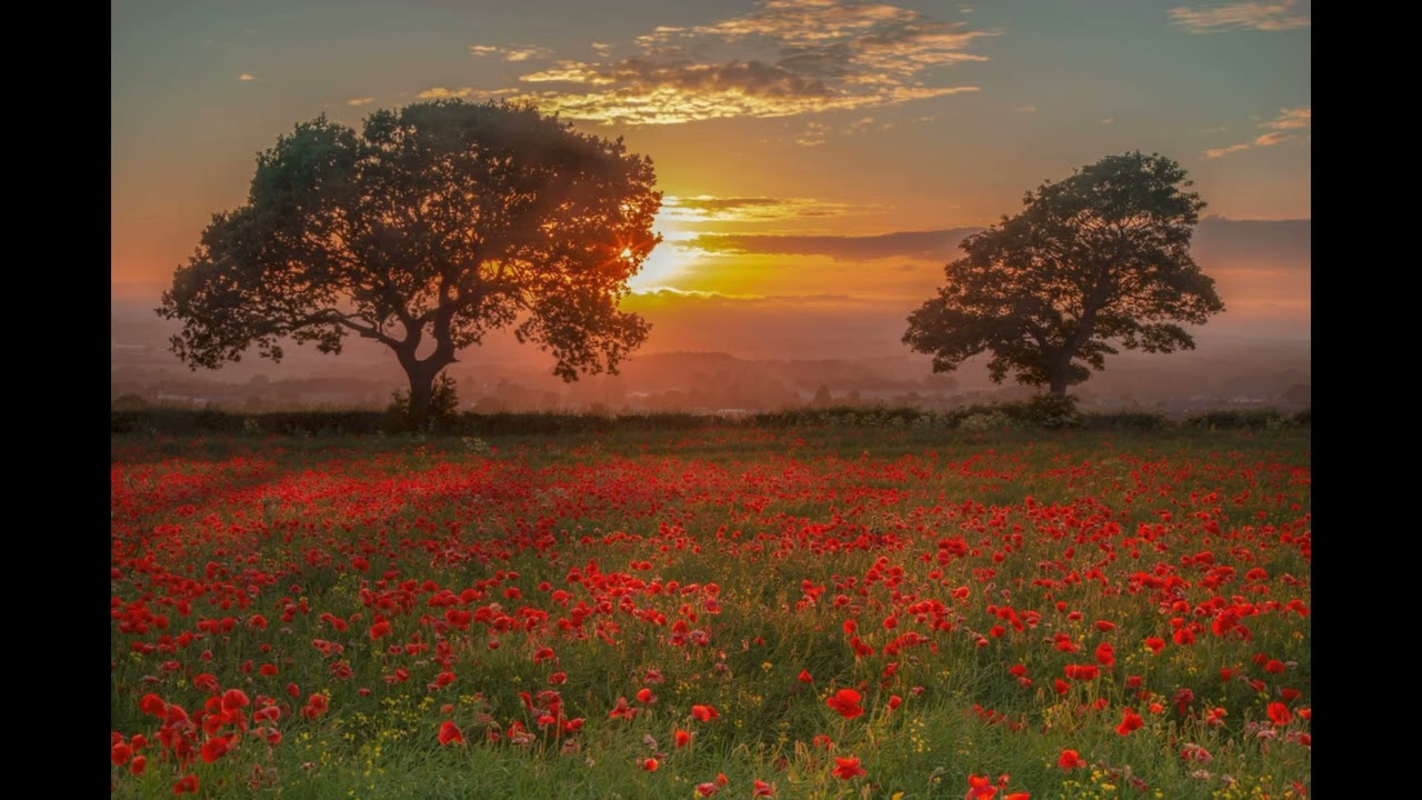 Miguel Ángel Bonnín - Atardecer