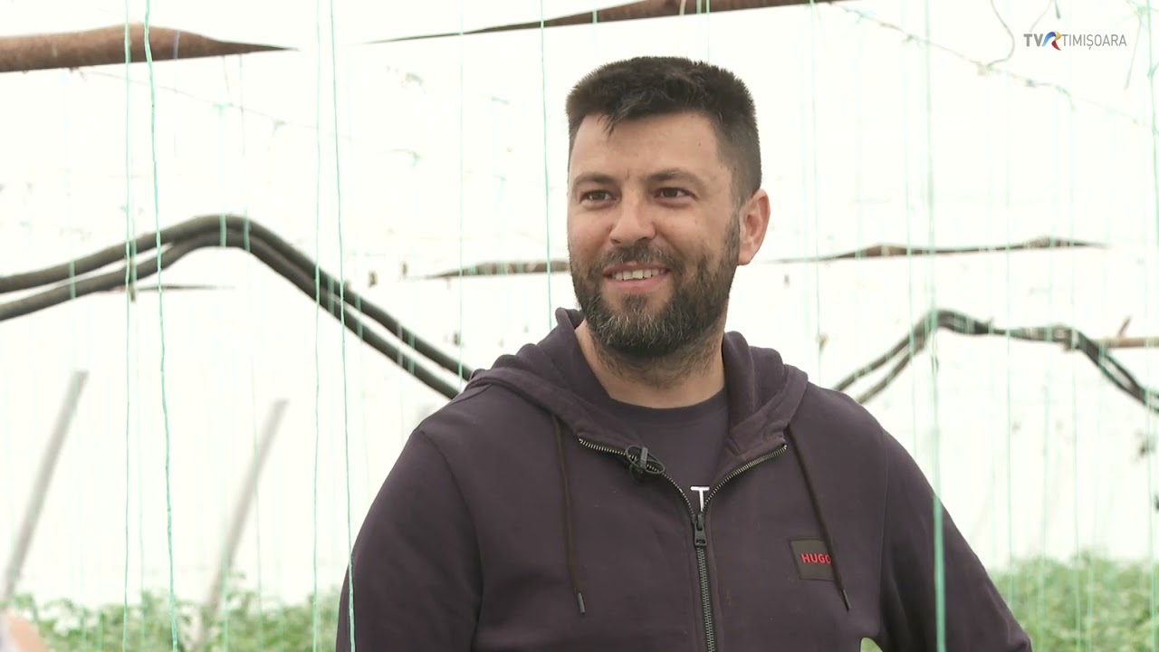 Darius Bășulescu din Jimbolia face legumicultură eficientă cu energie geotermală #SatulMeu @TVRTM