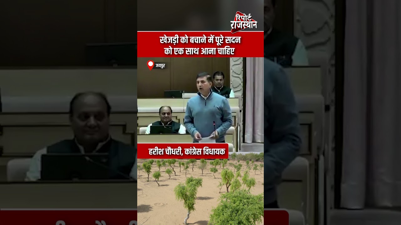 जयपुर | खेजड़ी संरक्षण पर पूरा सदन एकजुट हो: हरीश चौधरी | Report Rajasthan