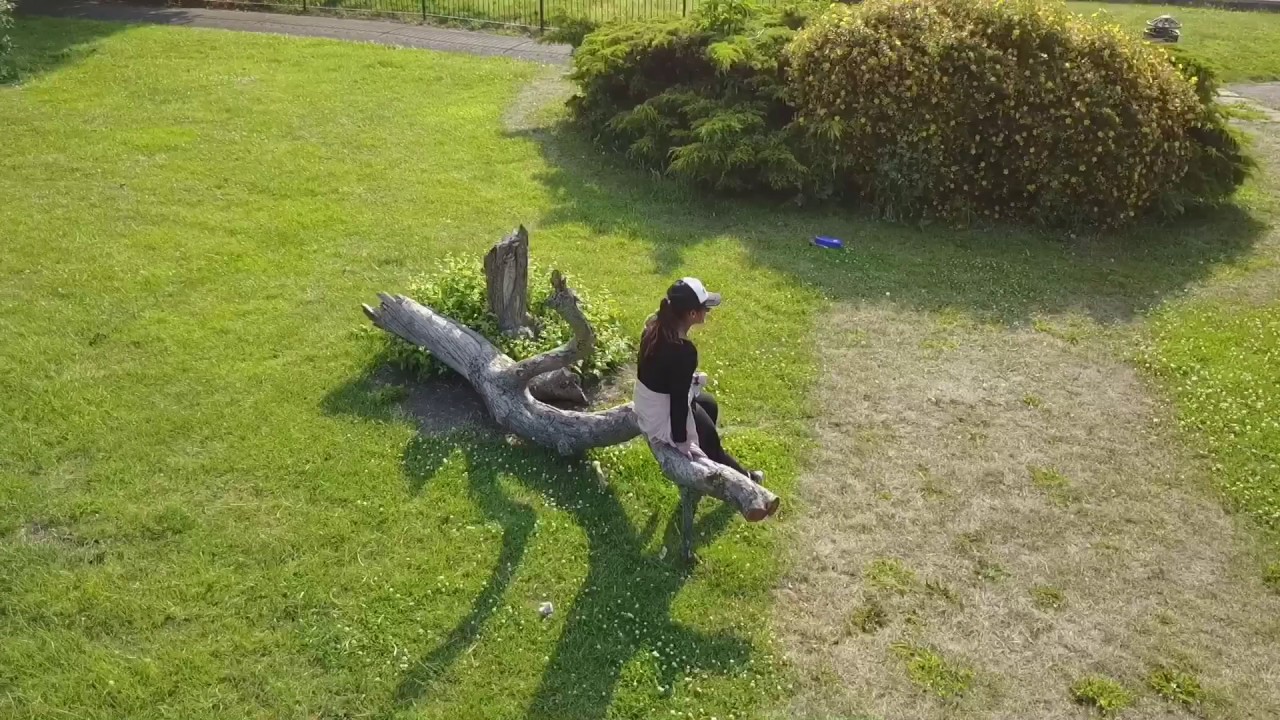 Plumstead Gardens Aerial drone video