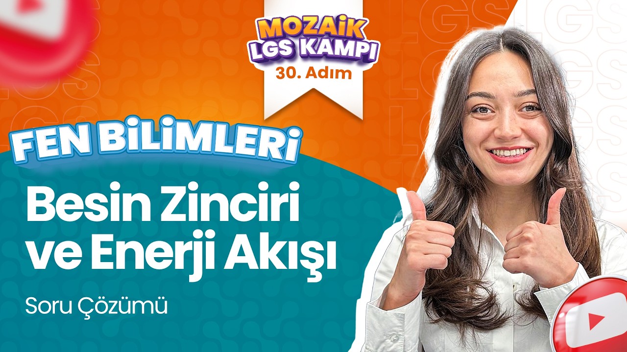 Besin Zinciri ve Enerji Akışı - Soru Çözümü | LGS FEN BİLİMLERİ - Mozaik LGS Kampı 30. Adım