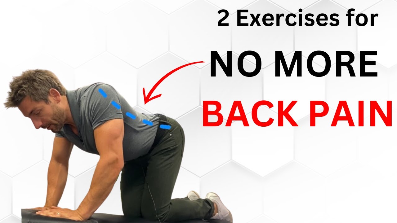 The Best 2 Back Exercises (NO MORE BACK PAIN!)