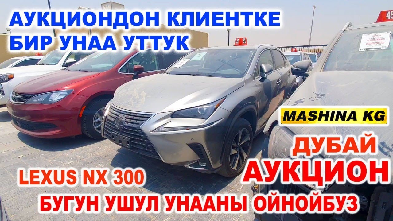 Дубай да АУКЦИОН ДО УНААЛАРДЫН БААСЫ КАНДАЙ БОЛДУ КОРГУЛО👍БИР УНААНЫ УТТУК