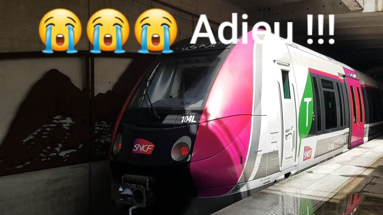 Adieu aux NAT Carmillon des lignes H et L