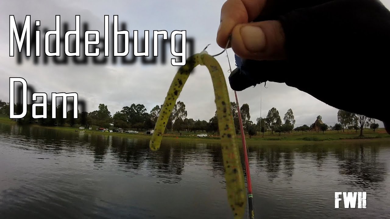 Circle Hook Wacky Rig