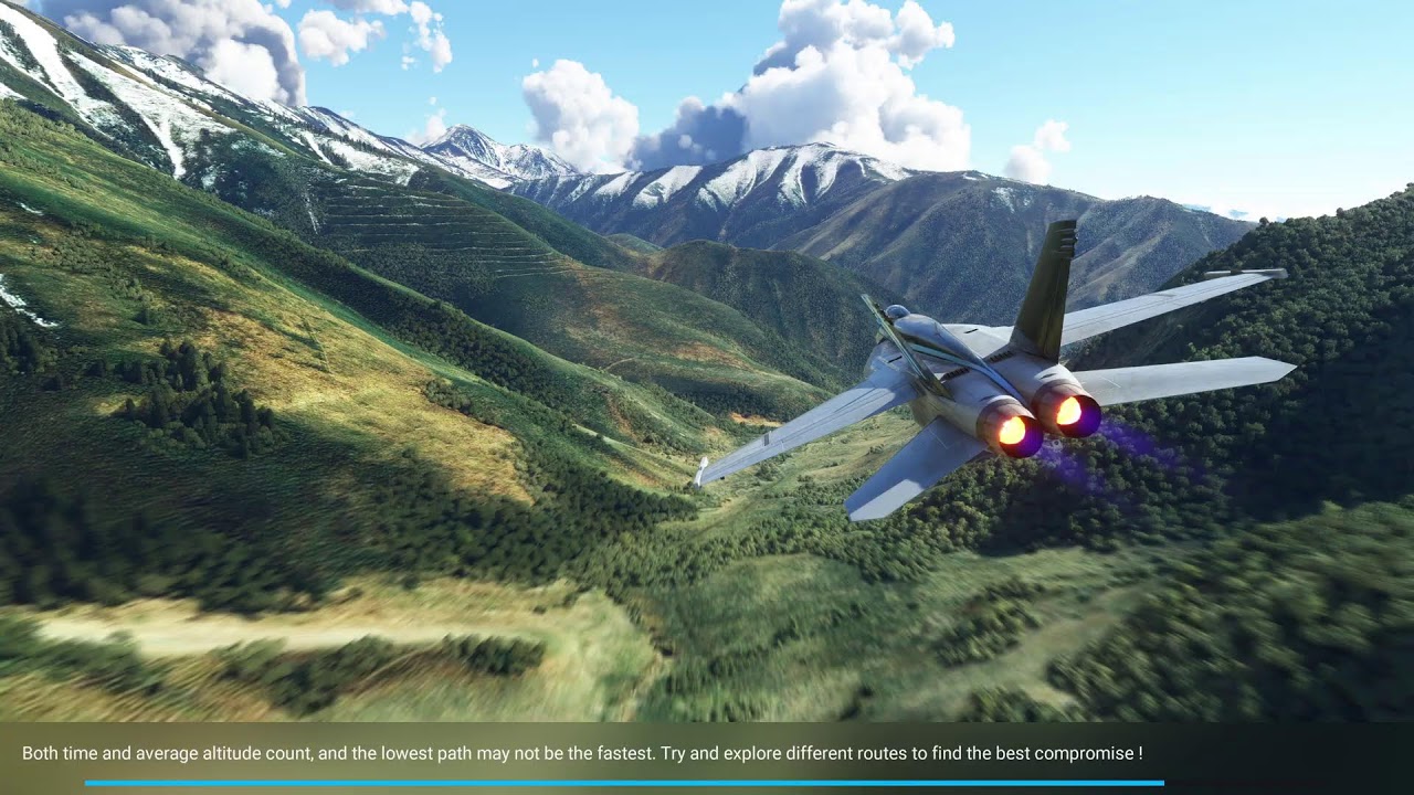 Microsoft Flight Simulator