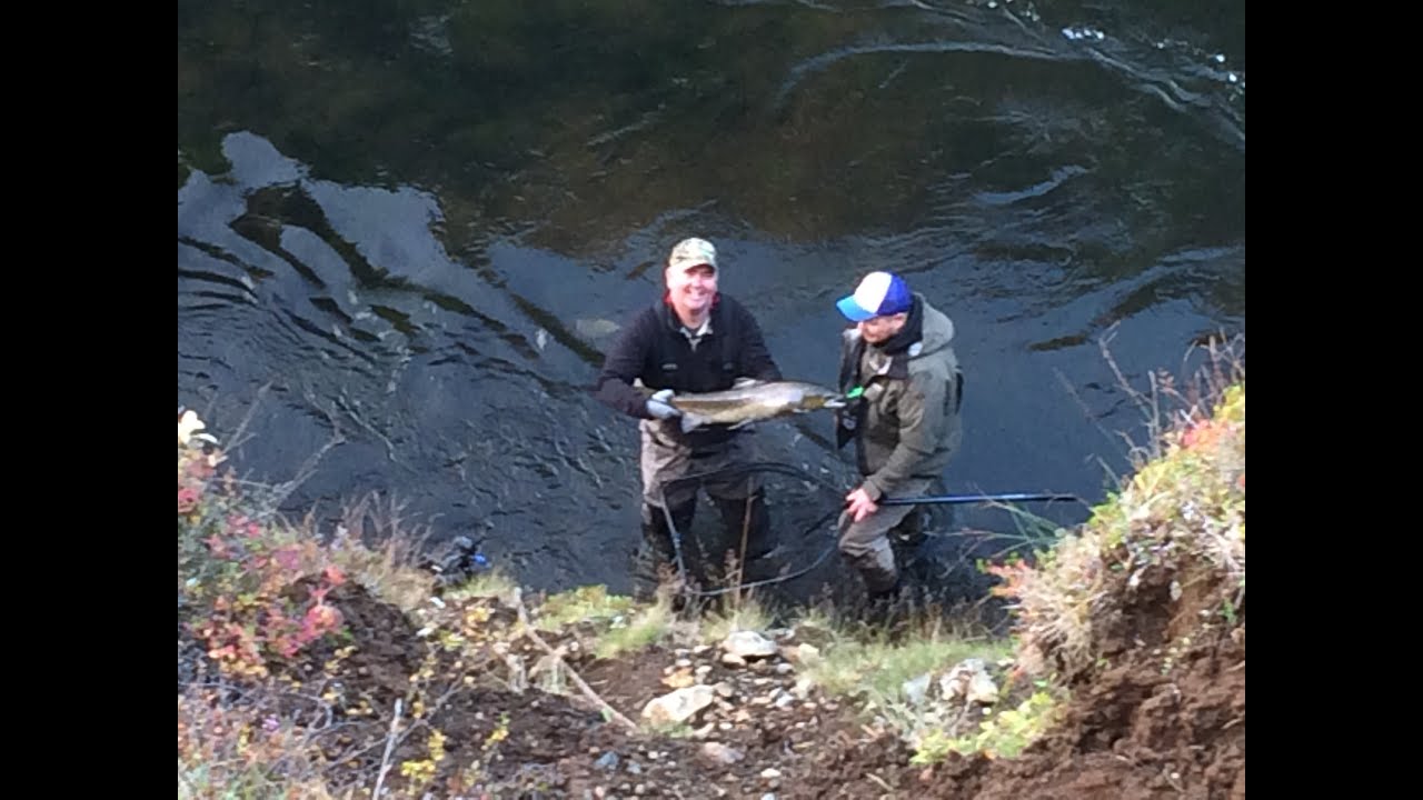 Fly Fishing Iceland for Atlantic Salmon...