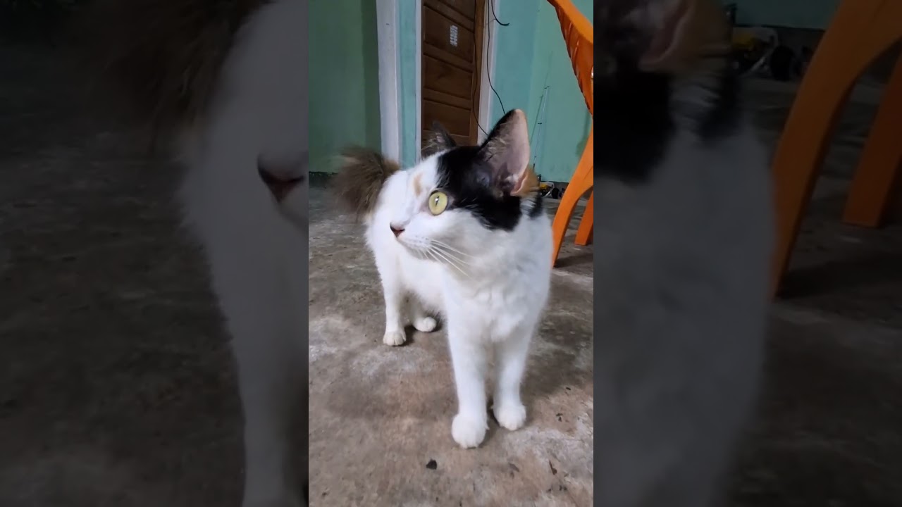 waktunya makan