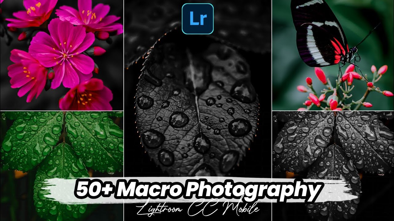 FREE 50 + PRESET LIGHTROOM TERBARU 2021 By Joko Kurniawan | LIGHTROOM PRESET