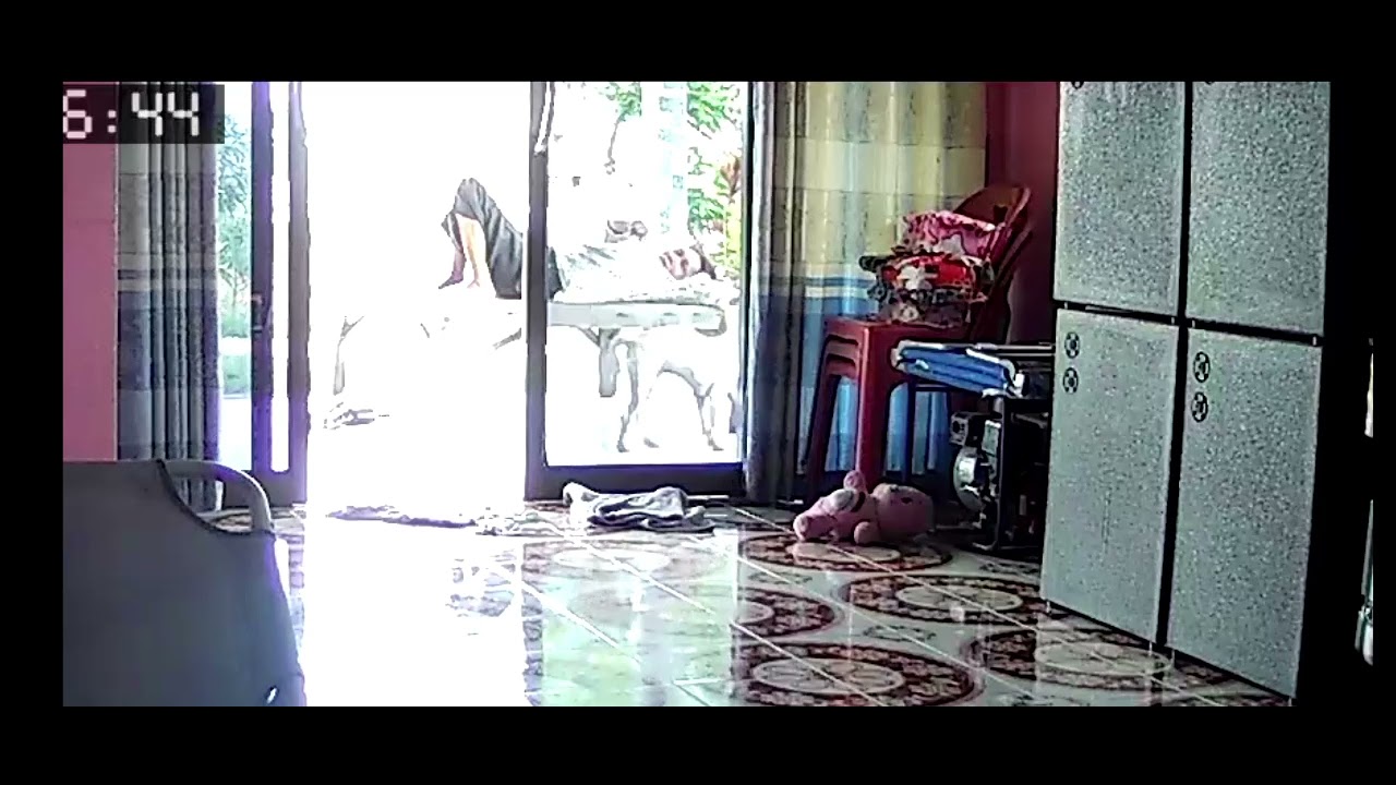 หมาไข่ตุ๋น