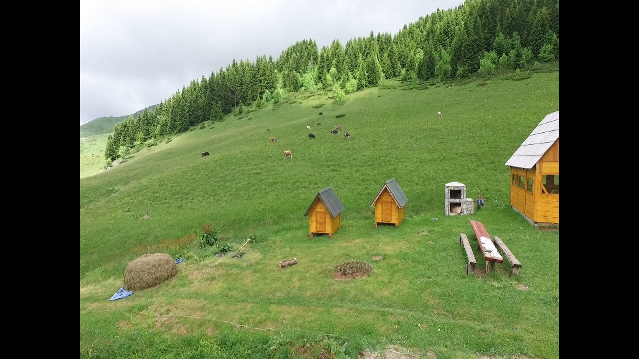 Biogradska gora, Damjanovića kolibe, Montenegro