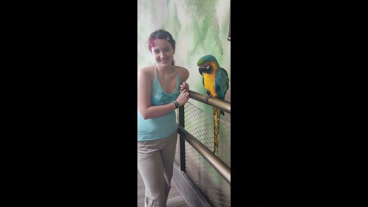 SE STIE! Two Tourists feat Ancestral Sanctuary (ملجأ الأجداد)