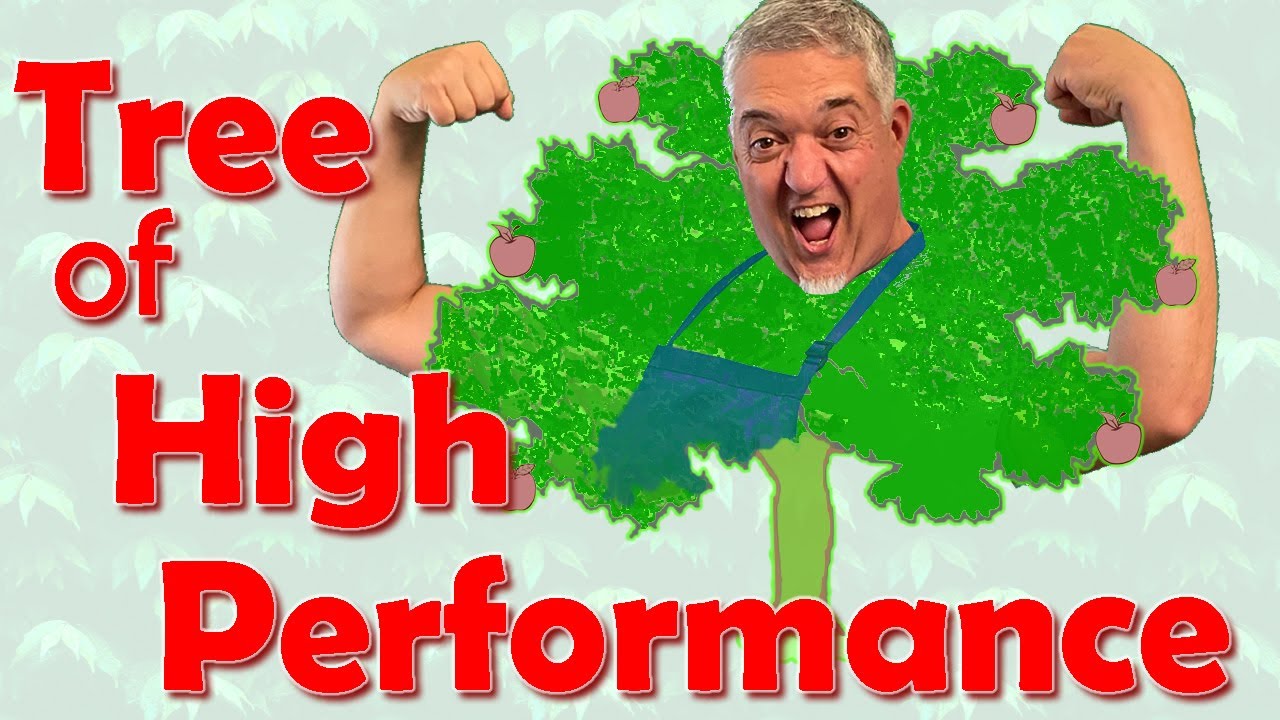 Tree of High Performance Teams | Coffeehouse