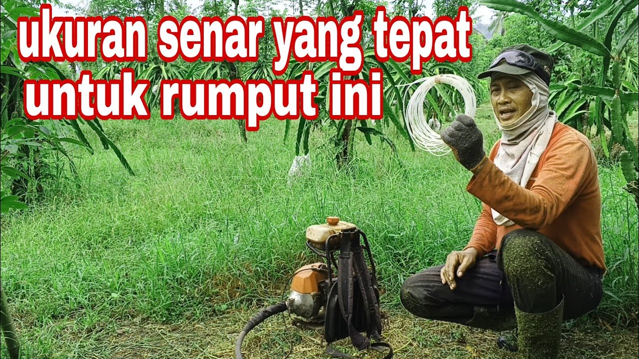 COCOK UNTUK RUMPUT JENIS INI - SENAR POTONG RUMPUT UKURAN 3MM