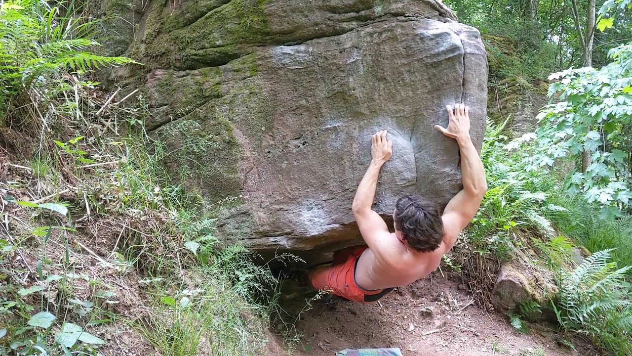 Leiter zum Mond 7B Steinegg Calw